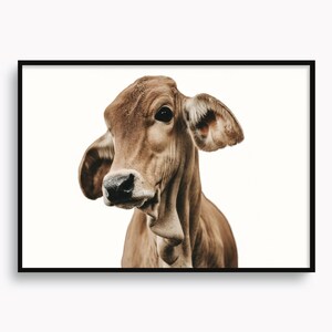 Boerderij leven muur kunst koe poster dierlijke kunst natuur muur decor dieren in het wild vee thema kunst reizen portret, decor kunst runderen boerderij
