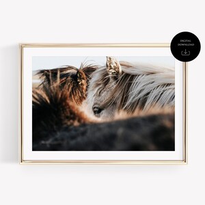 Arte de pared de caballo sereno, póster de caballo, estilo bohemio chic, imprimible, arte de granja, decoración del hogar con caballos, decoración de rancho para amantes de los animales, imprimible.