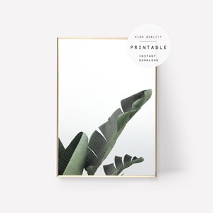 Print #61 Palm Leaf Print, Green Leaf Wall Art, Palm Tree Decor, Plant Head Poster, Printable Leaf, Instant Download, Nature, Wild