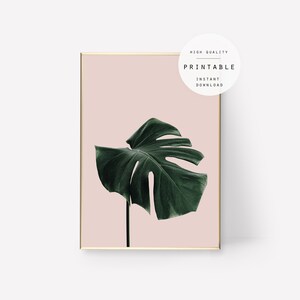 Print #80, Mostera Tropical Leaf Print, Botanical Wall Art, Floral Decor, Flower Poster, Printable Leaf, Instant Download