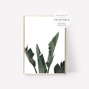Print #62 Palm Leaf Print, Green Leaf Wall Art, Palm Tree Decor, Plant Head Poster, Printable Leaf, Instant Download, Nature, Wild