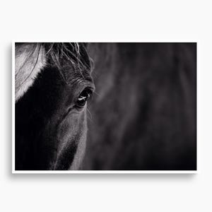A1 Limited Edition Fine Art Print Horse Poster Majorca Travel Wall Art Monochrome Farmhouse Equine Portrait Gift For Animal and Travel Lover
