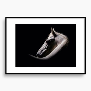 Wildlife Wall Art Horse Silhouette Poster Animal Fine Art Nature Wall Decor Wildlife Equine Theme Art Travel Portrait, Farmhouse Decor Art