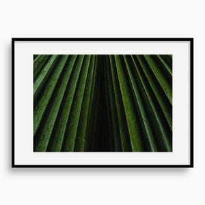 Arte mural botánico con hojas de palma verdes, póster de plantas, arte natural, decoración de pared con patrones, retrato verde texturizado, envío en tubo.