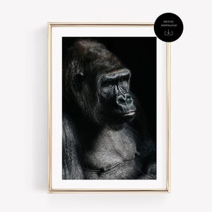 Ritratto di gorilla maestoso, stampabile da parete, scimmia, per gli amanti degli animali, stampabile, decorazione per la casa, poster sulla fauna selvatica, decorazione per la casa in Africa, stampa in Uganda