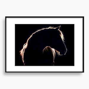 Wildlife Wall Art Horse Silhouette Poster Animal Fine Art Nature Wall Decor Wildlife Equine Theme Art Travel Portrait, Shipped In A Tube
