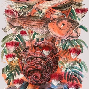 Een van vriendelijke inkt- en aquarelschilderijen: Ospry en Hurricane