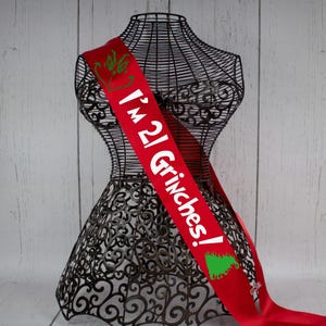 Im 21 Grinches Sash, Christmas Birthday Sash, Holiday Custom Sash, Holiday Birthday Decor, Custom Holiday Party Sash