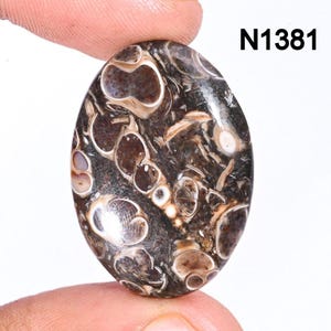 Turritella Agate Gemstone, Natural Designer Turritella fossilized Cabochon, Loose Gemstone Jewelry Making Supply, Healing Birthstone