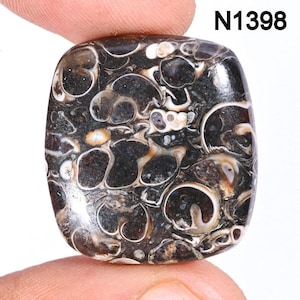 Turritella Agate Gemstone, Natural Designer Turritella fossilized Cabochon, Loose Gemstone Jewelry Making Supply, Healing Birthstone