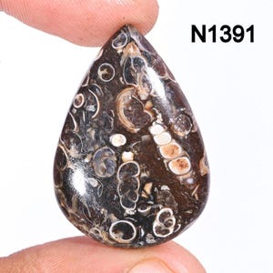 Turritella Agate Gemstone, Natural Designer Turritella fossilized Cabochon, Loose Gemstone Jewelry Making Supply, Healing Birthstone