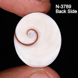 May include: A white, circular gemstone with a brown spiral pattern. The image includes the text "N-3789 Back Side". The gemstone is held between two fingers against a black background. This item is suitable for jewelry making.