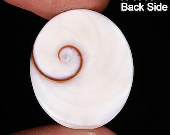 Polished Shiva Eye Cabochons – Loose Shell Gemstones for Jewelry