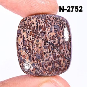 New Rare Dinosaur Bone Gemstone - Natural Dinosaur Bone - Loose Cabochon - Semi Precious - Polished Dinosaur Bone Crystal For Making Pendant
