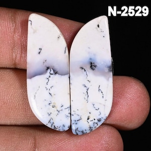 Op de afbeelding: Twee gepolijste, druppelvormige edelstenen. De stenen zijn voornamelijk wit met ingewikkelde patronen van zwart en grijs, die lijken op dendritische insluitsels. De tekst "N-2529" is rechtsboven te zien.