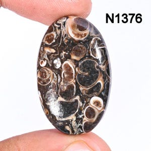 Turritella Agate Gemstone, Natural Designer Turritella fossilized Cabochon, Loose Gemstone Jewelry Making Supply, Healing Birthstone