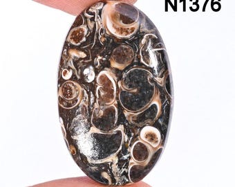 Natürlicher Turritella Achat Cabochon, versteinerter Edelstein