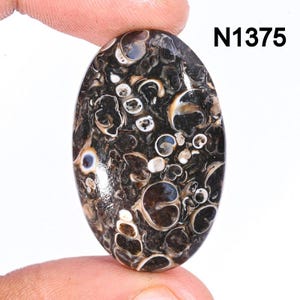 Turritella Agate Gemstone, Natural Designer Turritella fossilized Cabochon, Loose Gemstone Jewelry Making Supply, Healing Birthstone
