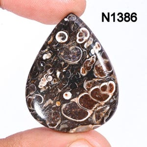 Turritella Agate Gemstone, Natural Designer Turritella fossilized Cabochon, Loose Gemstone Jewelry Making Supply, Healing Birthstone