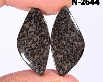 Dinosaur Bone Gemstone Cabochon Earring Pairs - Designer Jewelry