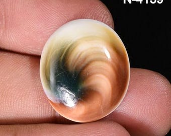 Polished Shiva Eye Cabochons – Natural Shell Gemstones for Jewelry