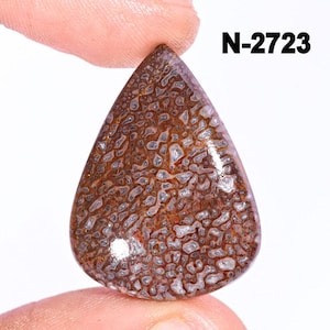 Collection Dinosaur Bone Gemstone -Natural Dinosaur Bone Cabochon Crystal - Polished - Hand Made - Dinosaur Bone Crystal For Making  Jewelry
