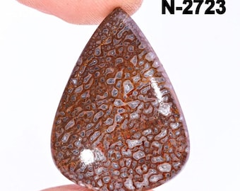 Natural Dinosaur Bone Cabochon – Polished Gemstone Jewelry Making
