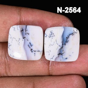 May include: Two square-cut gemstones with a white base, featuring intricate black and pale blue veining patterns. The gemstones are displayed against a dark background, with the text "N-2564" in the upper right corner.