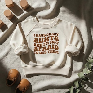 I Have Crazy Aunts Funny Toddler Sweatshirt, Retro Crewneck Pullover, Cute Auntie Gift for Nephew or Niece, Natural Kids Shirt, Funny Outfit