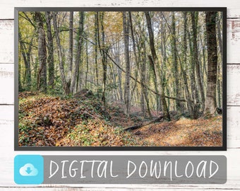 Enchanted Forest Wall Art Print - Instant Download, Magical Nature Landscape for Home Decor - Photo From Fageda d'en Jorda, Catalonia, Spain