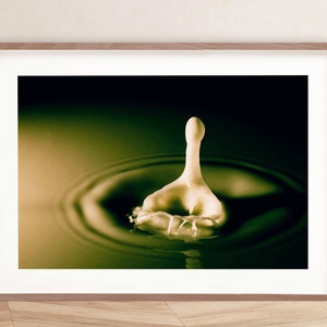 Water Abstract Art Photo, A Drop of Milk Up and Down - Downloadable Wall Art Prints