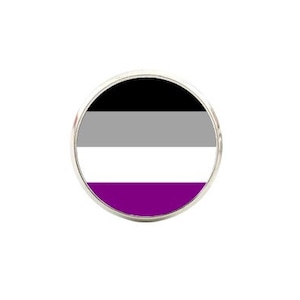 Asexual Flag Pin - Minimalist Flag - Snap Pin - 16mm Magnifying Glass Pin - LGBTIQ+