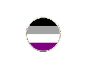 Asexual Flag Pin - Minimalist Flag - Snap Pin - 16mm Magnifying Glass Pin - LGBTIQ+