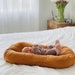Rust Baby Nest Lounger Co Sleeper image 1