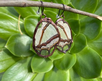 Electroformed real butterfly wing earrings