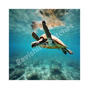 Turtle PNG Image, Instant Download, Sublimation Design, Creative Image, Digital File, Craft, Graphic, Clip Art, Designs