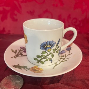 Vintage Cordon Bleu BIA Floral Demitasse Cup & Saucer Custom Made Hand Decorated