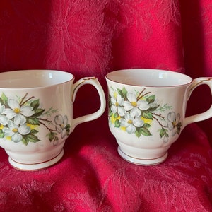 Royal Albert England White Dogwood Pattern Coffee Cups D77-9 B77 Montrose Shape Set of Two Made in 1960&#39;s