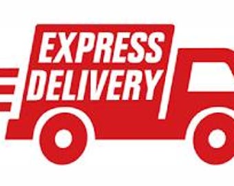 Express shipping service/logistics cost