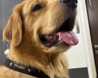 Personalized Leather Dog Collar: Custom Engraved, Handmade, Adjustable