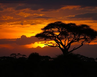 African Safari, Wildlife Photography, Landscape Photo Print, Nature Wall Art,  Amboseli National Park, Kenya Canvas Print