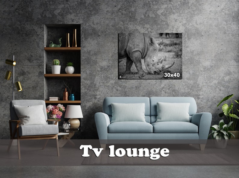 May include: A living room with a gray concrete wall, a blue sofa, a gray armchair, a wooden shelf with plants and decorative items, a floor lamp, a table lamp, a table with a clock, a vase with flowers, and a black and white canvas print of a rhinoceros with the text "30x40". The text "Tv lounge" is on the floor in front of the sofa.
