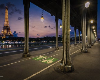 Bir Hakeim Bridge Paris  French  Wall Art