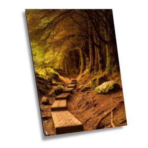 Ballinastoe Woods, Ireland Photography, Wicklow, Ireland, Travel Photography, Ireland Home Decor, Ireland Wall Art, Irish Charm,