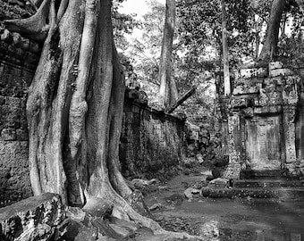Templo de Ta Prohm, Camboya, Impresión de lienzo en blanco y negro, Fotografía de bellas artes, Arte de pared grande, Fotografía de viajes, Decoración del hogar estilo Bayon, Angkor Wat
