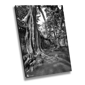 Ta Prohm Tempel, Kambodscha, B&W Leinwand Druck, Fine Art Fotografie, große Wandkunst, Reisefotografie, Bayon Style Home Decor, Angkor Wat