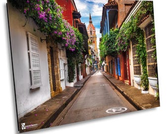 Cartagena Street Photo, Cartegena Colombia Photography, Cartegena Photo, Colombia Wall Art, Cartegena Canvas Print, Colombian Home Decor