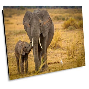 Elephant Mother and Baby, Wildlife Photography, Animal Photo Print, Nature Wall Art, Amboseli National Park, Kenya Canvas Print