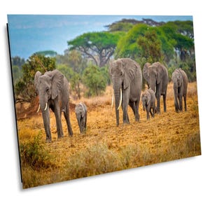 Elephant Pack, Elephants, Wildlife Photography, Animal Photo Print, Nature Wall Art, Amboseli National Park, Kenya  Canvas Print