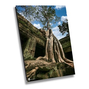 Ta Prohm Tempel, Kambodscha, Kunstdruck auf Leinwand, Fotografie, große Wandkunst, Reisefotografie, Bayon Style Home Decor, Angkor Wat